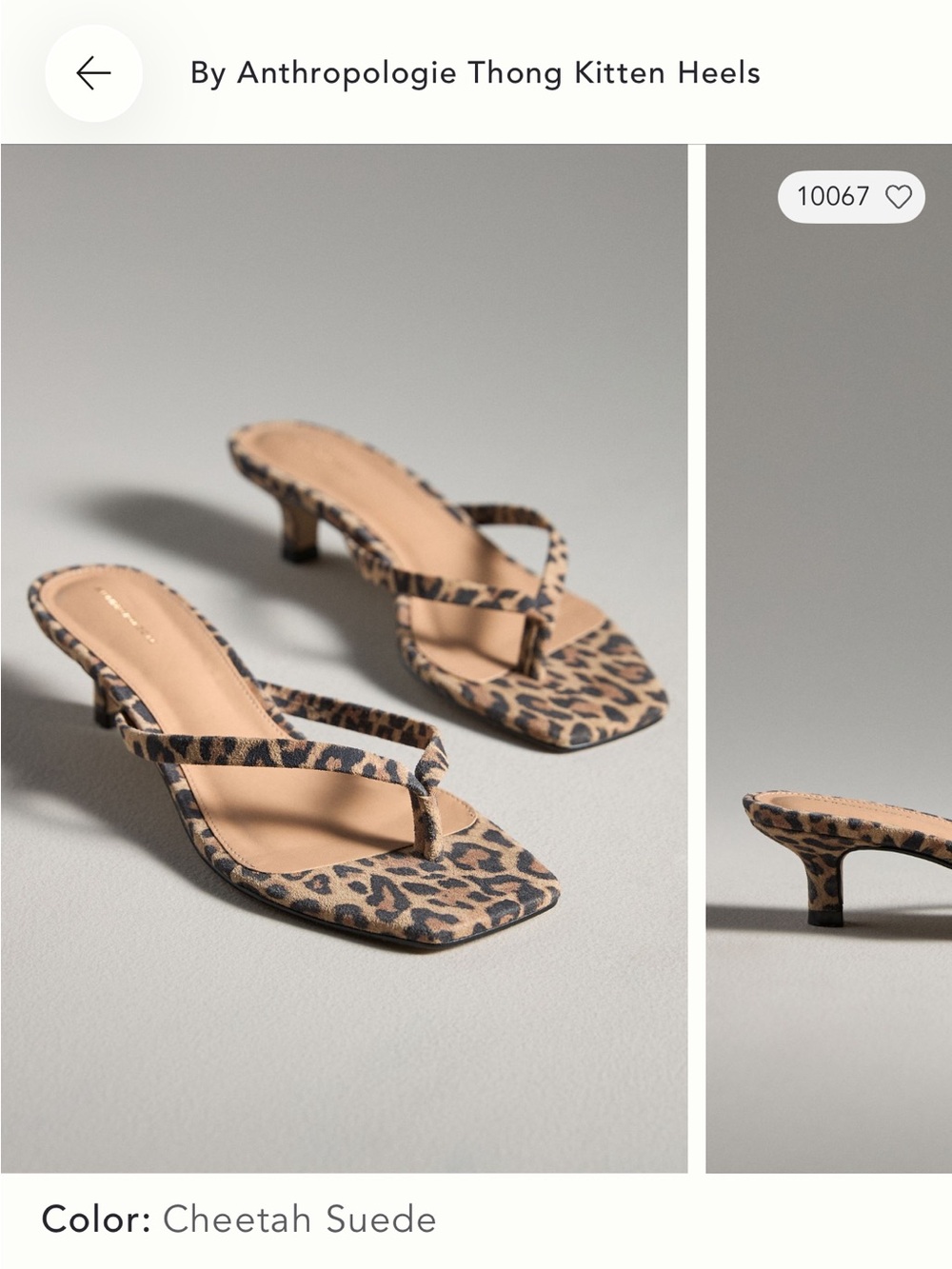 Anthropologie Leopard-Print Kitten - never worn!